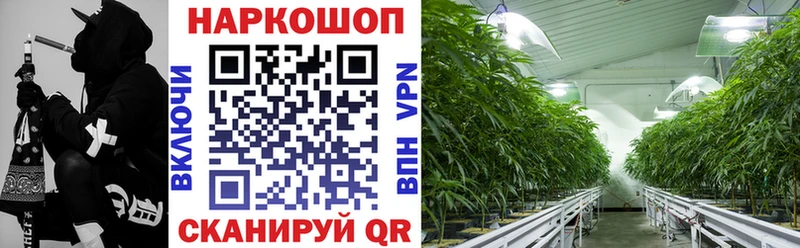 Альфа ПВП Ипатово