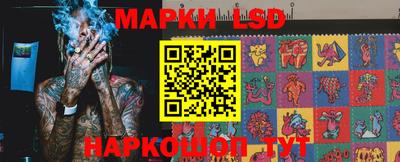 гашик Дубна