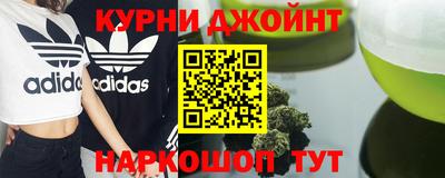 гашик Дубна