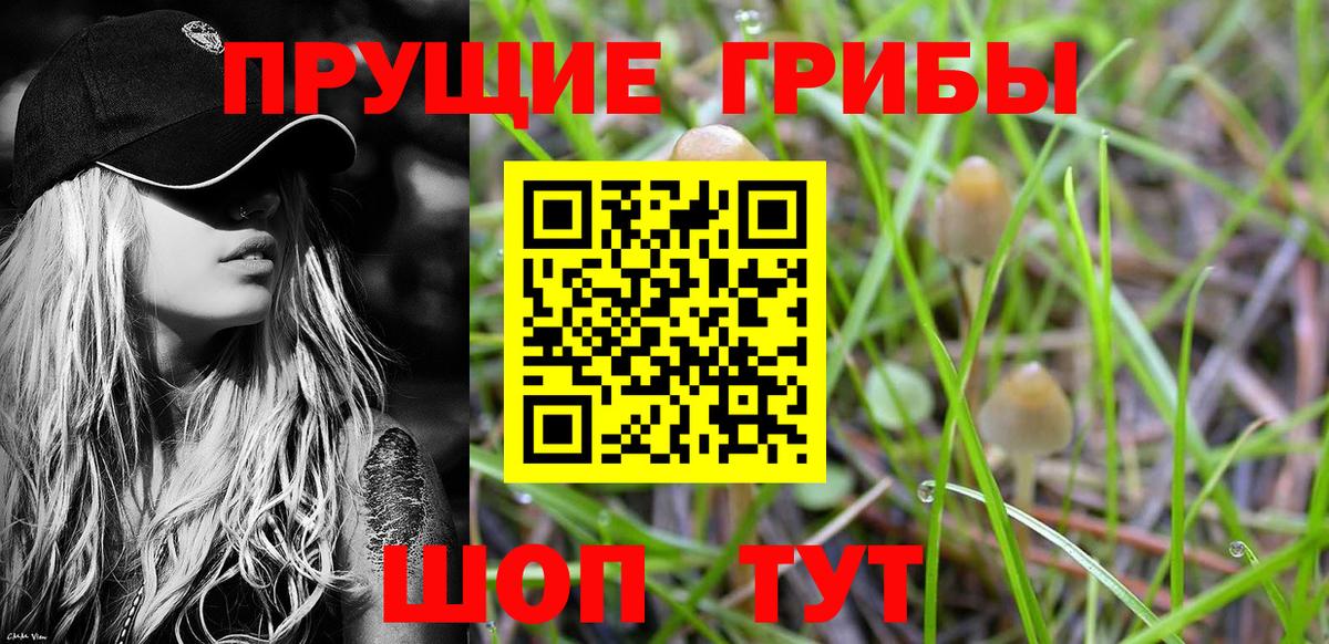 Галлюциногенные грибы прущие грибы  Вход с VPN  даркнет сайт  Псилоцибиновые грибы Cubensis  Ипатово 